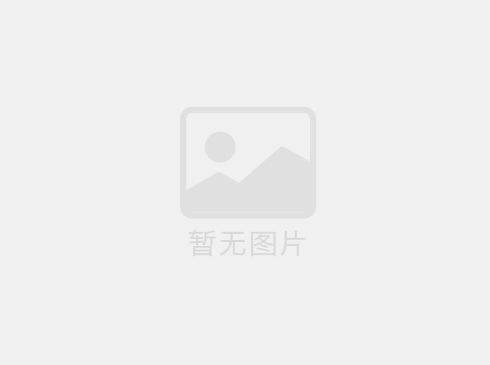 ?8mm導電滑環(huán)